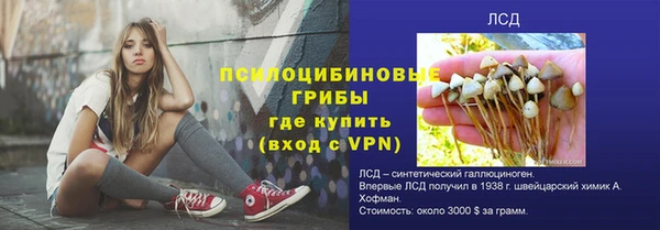 гашик Алексин