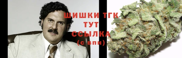 гашик Алексин
