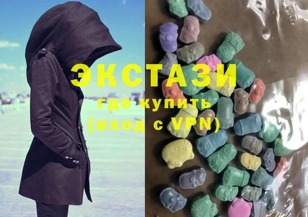 гашик Алексин