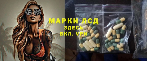 гашик Алексин