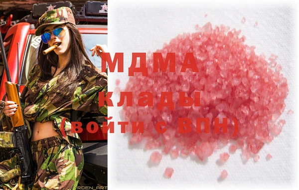 гашик Алексин