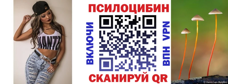 Псилоцибиновые грибы GOLDEN TEACHER  наркота  Микунь 